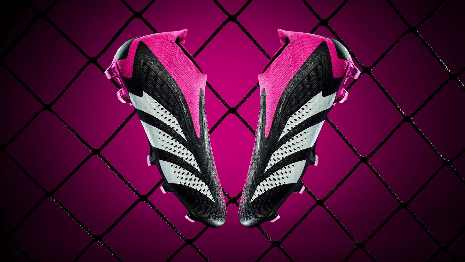 仅有的亮点 仅有的亮点