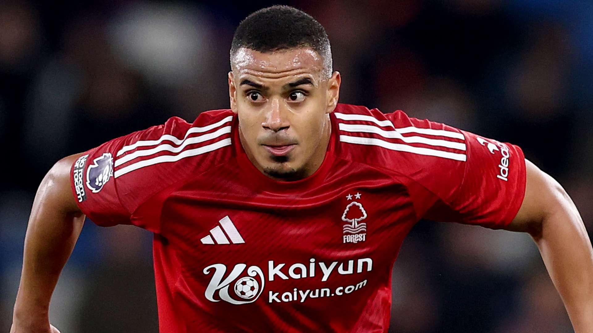 不可否認 不可否認